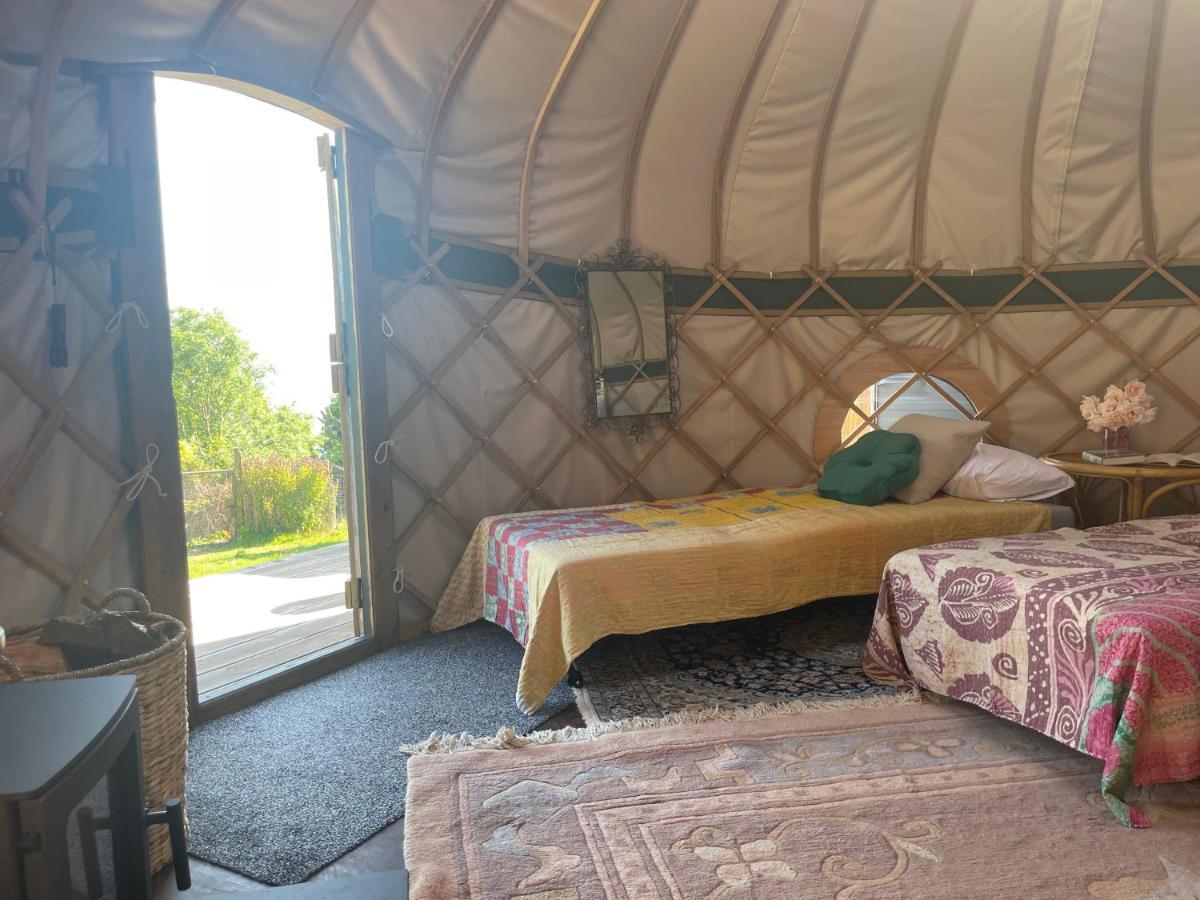 Puckaster Cove Garden Yurt
